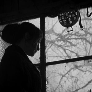 Bilder Boro in the Box et Living still Life