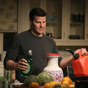 Bilder David Boreanaz