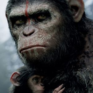 Bilder Planet der Affen 2: Revolution