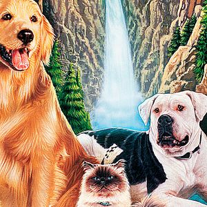 Bilder Zurück nach Hause