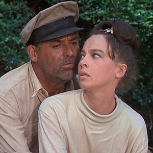 Bilder Der große Wolf ruft