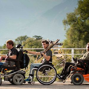 Bilder Vielen Dank für Nichts