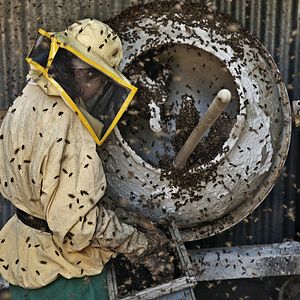 Bilder Land der Wunder