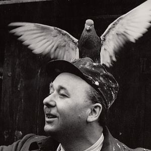 Bilder Liebe nach Fahrplan