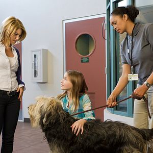 Bilder Alle lieben Jake