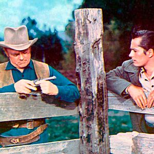 Bilder Im Schatten des Galgens