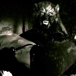 Bilder Die Todeskralle des grausamen Wolfes