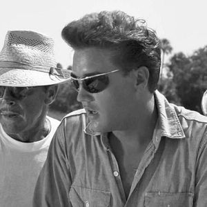 Bilder Ein Sommer in Florida