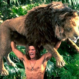 Bilder George - Der aus dem Dschungel kam