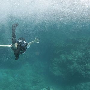 Bilder Still The Water