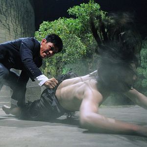 Bilder Way of the Warrior