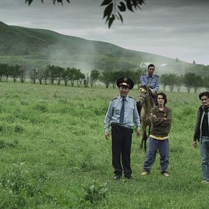 Bilder Ukkili kamshat