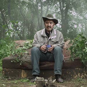 Bilder Ukkili kamshat