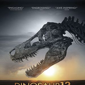 Bilder Dinosaur 13