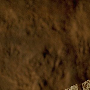 Bilder Prisoners of the Sun