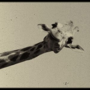 Bilder Quand je serai dictateur