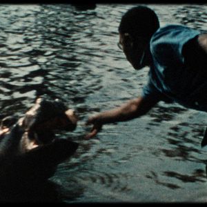 Bilder Quand je serai dictateur