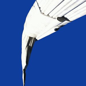 Bilder Em Busca de um Lugar Comum