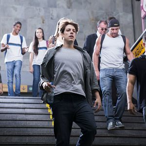 Bilder Entre Abelhas