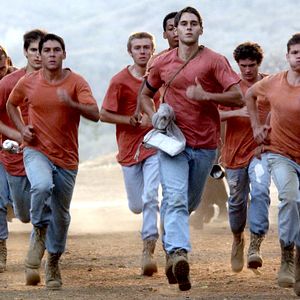 Bilder P.J. Boudousqué