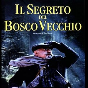 Bilder Il Segreto del bosco vecchio