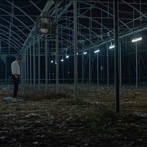 Bilder Big Bad Wolves