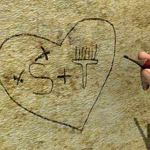 Bilder Otto ist ein Nashorn