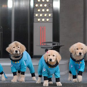 Bilder Space Buddies (TV)