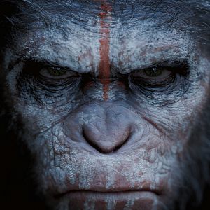 Bilder Planet der Affen 2: Revolution