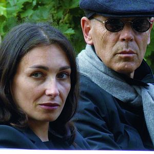 Bilder Der Schmetterlingsjäger