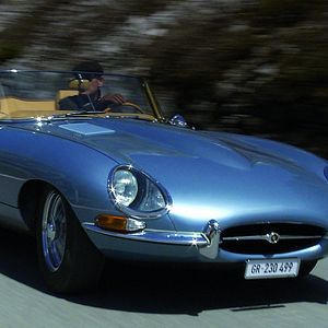 Bilder Der Schmetterlingsjäger