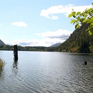 Bilder Das Geheimnis des Ponys