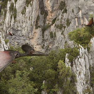 Bilder Planet Deutschland - 300 Millionen Jahre