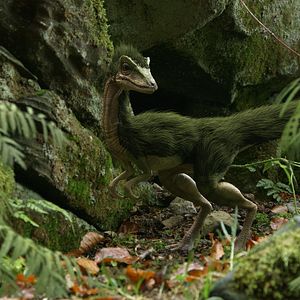 Bilder Planet Deutschland - 300 Millionen Jahre