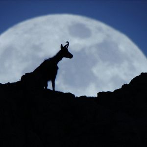 Bilder Planet Deutschland - 300 Millionen Jahre