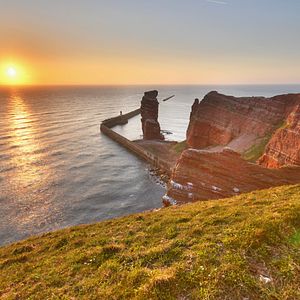 Bilder Planet Deutschland - 300 Millionen Jahre