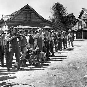 Bilder Wem die Sonne lacht