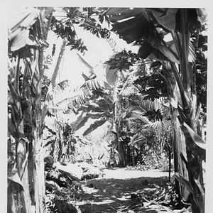 Bilder The Galapagos Affair: Satan Came To Eden