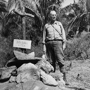 Bilder The Galapagos Affair: Satan Came To Eden