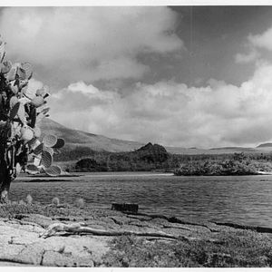 Bilder The Galapagos Affair: Satan Came To Eden