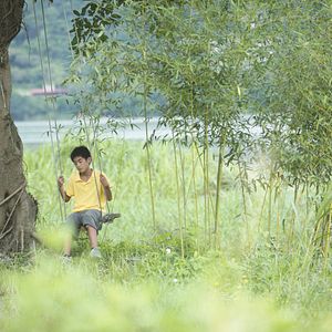 Bilder Shu Jia Zuo Ye