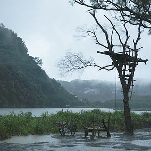 Bilder Shu Jia Zuo Ye