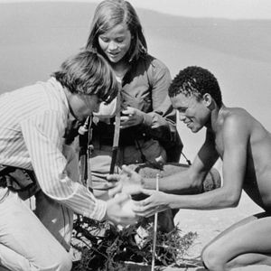 Bilder Die Spur des Windes