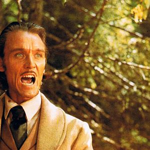 Bilder Jack Londons Wolfsblut