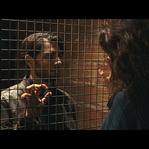 Bilder La Mante religieuse