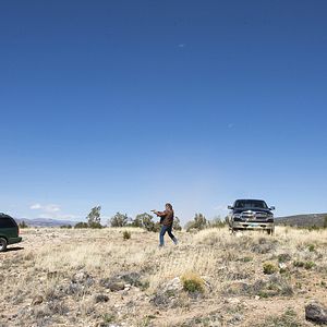 Bilder Robert Taylor (II)