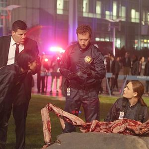 Bilder David Boreanaz