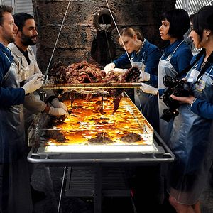 Bilder Michaela Conlin