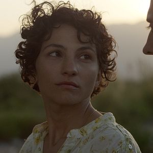 Bilder El árbol magnético