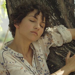 Bilder El árbol magnético